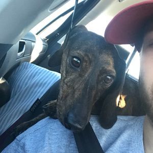 Meet your Posher, Ryder